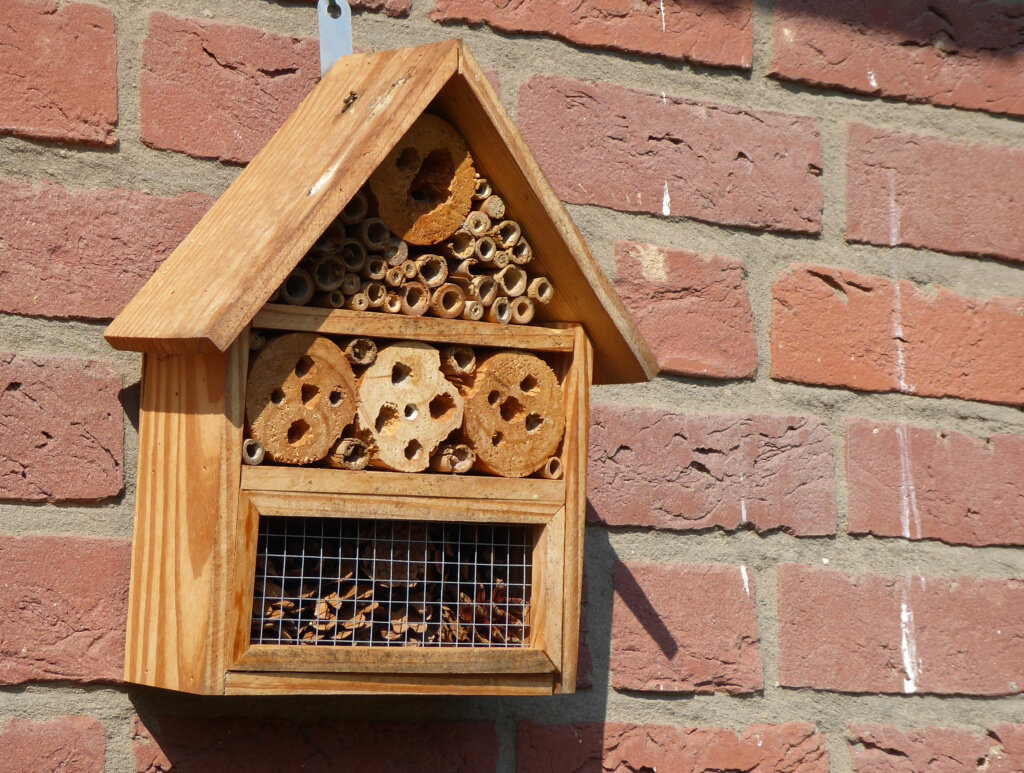 Insektenhotel | © DAV Sektion Paderborn Insektenhotel | © DAV Sektion Paderborn