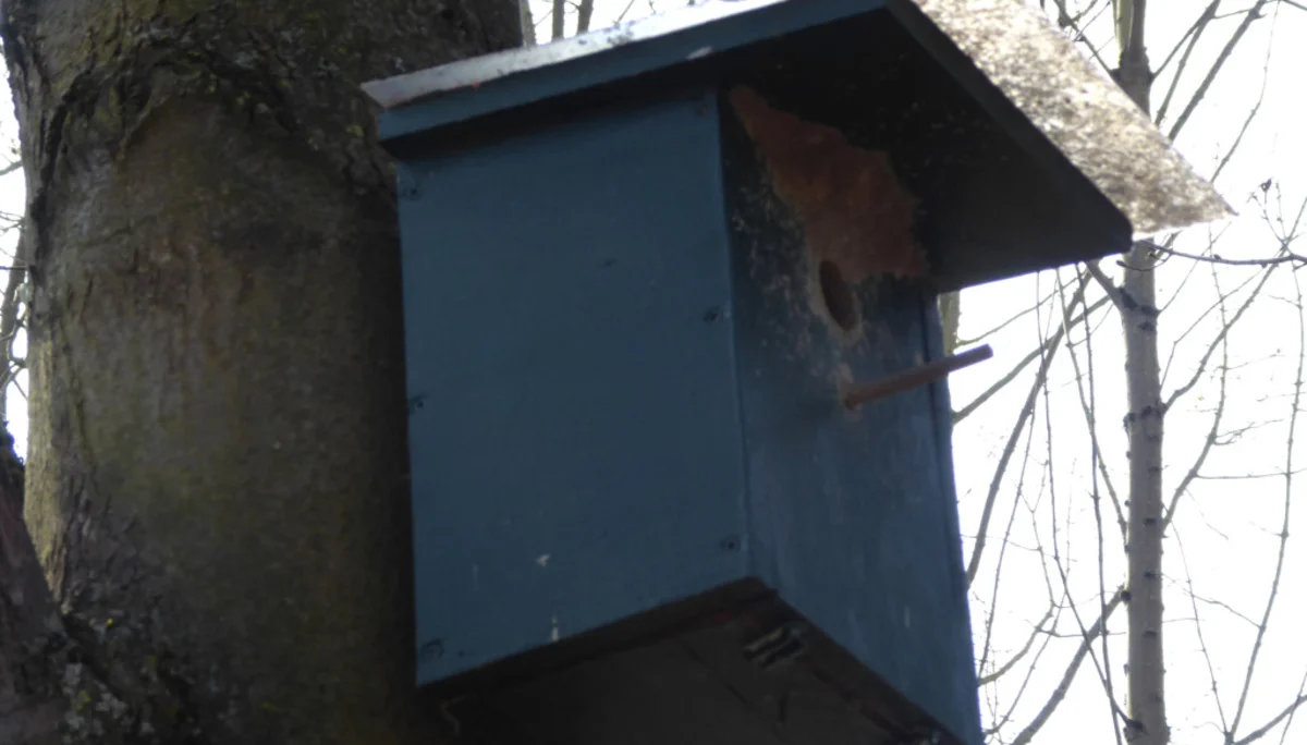 Nistkasten_1 | © DAV Sektion Paderborn