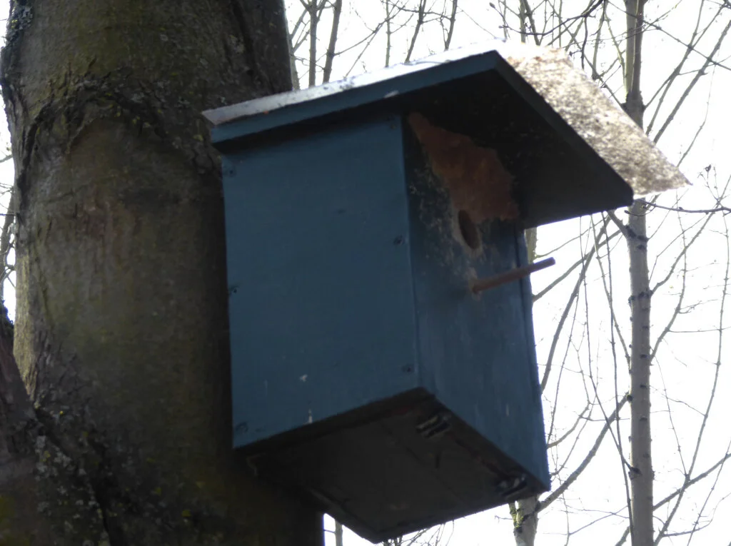 Nistkasten_1 | © DAV Sektion Paderborn