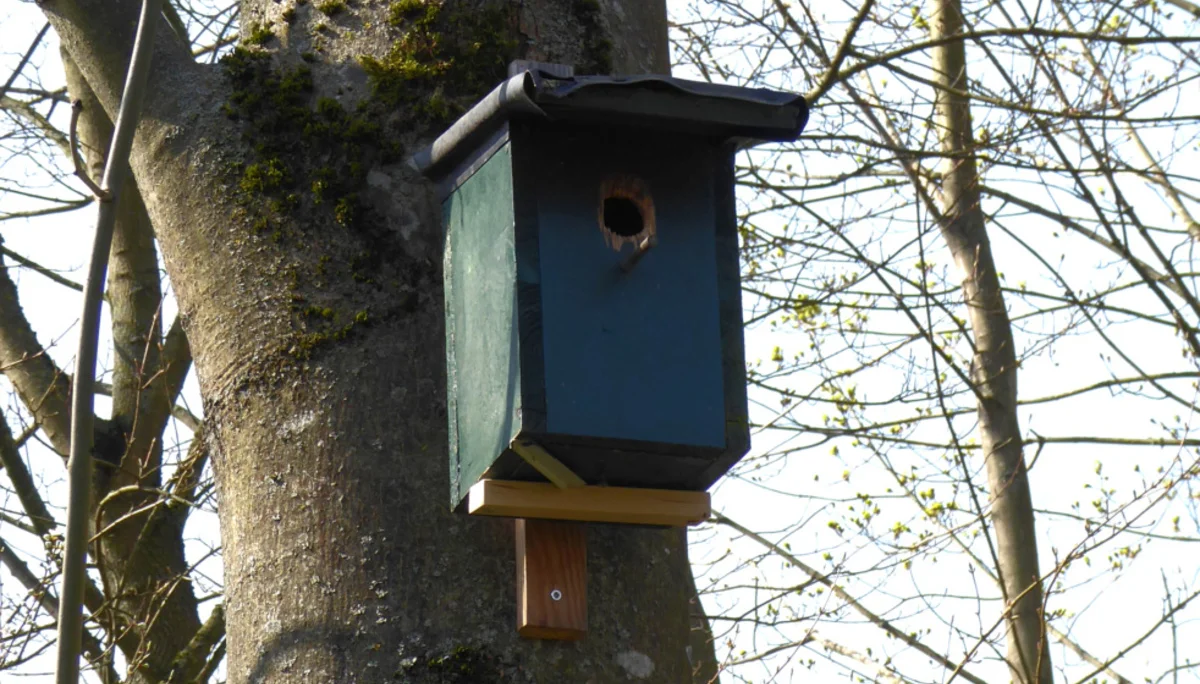 Nistkasten_2 | © DAV Sektion Paderborn