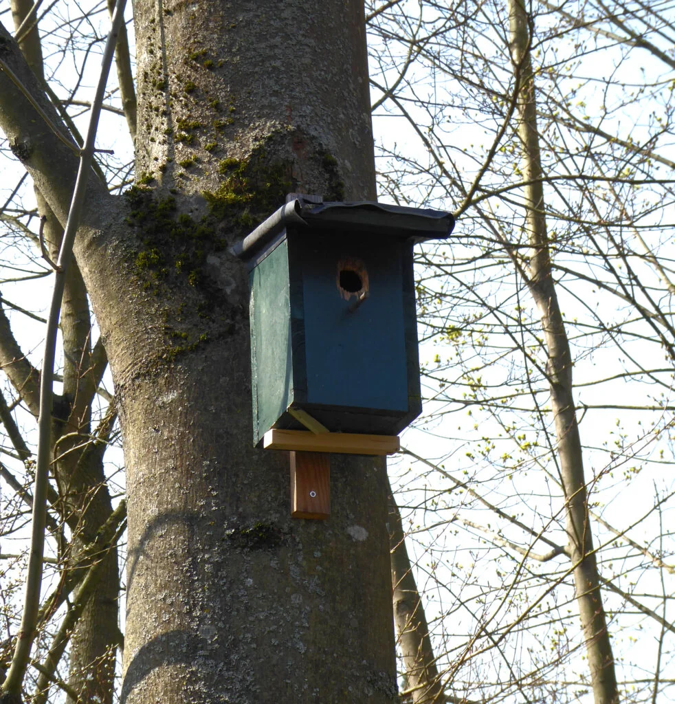 Nistkasten_2 | © DAV Sektion Paderborn