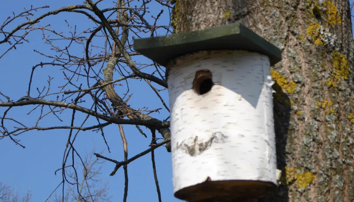 Nistkasten_3 | © DAV Sektion Paderborn