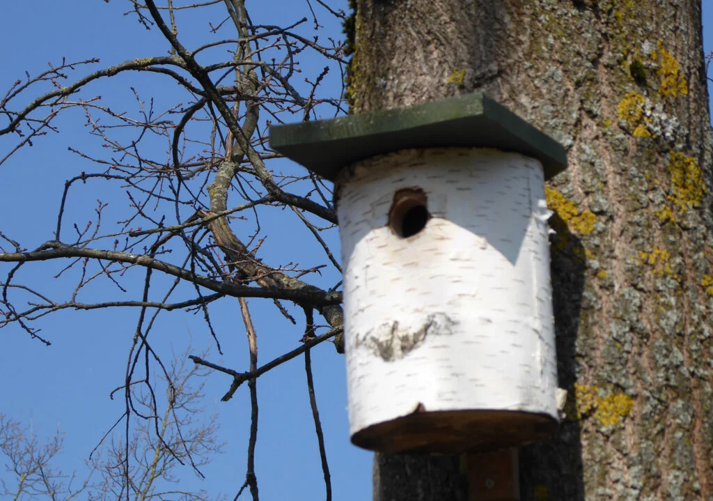 Nistkasten_3 | © DAV Sektion Paderborn