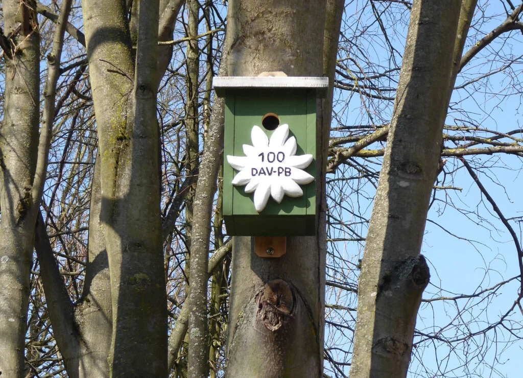 Nistkasten_4 | © DAV Sektion Paderborn