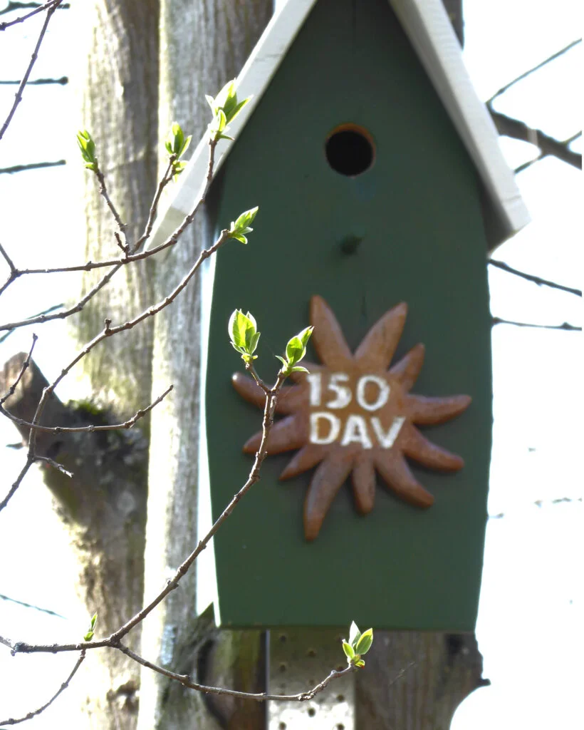 Nistkasten_5 | © DAV Sektion Paderborn