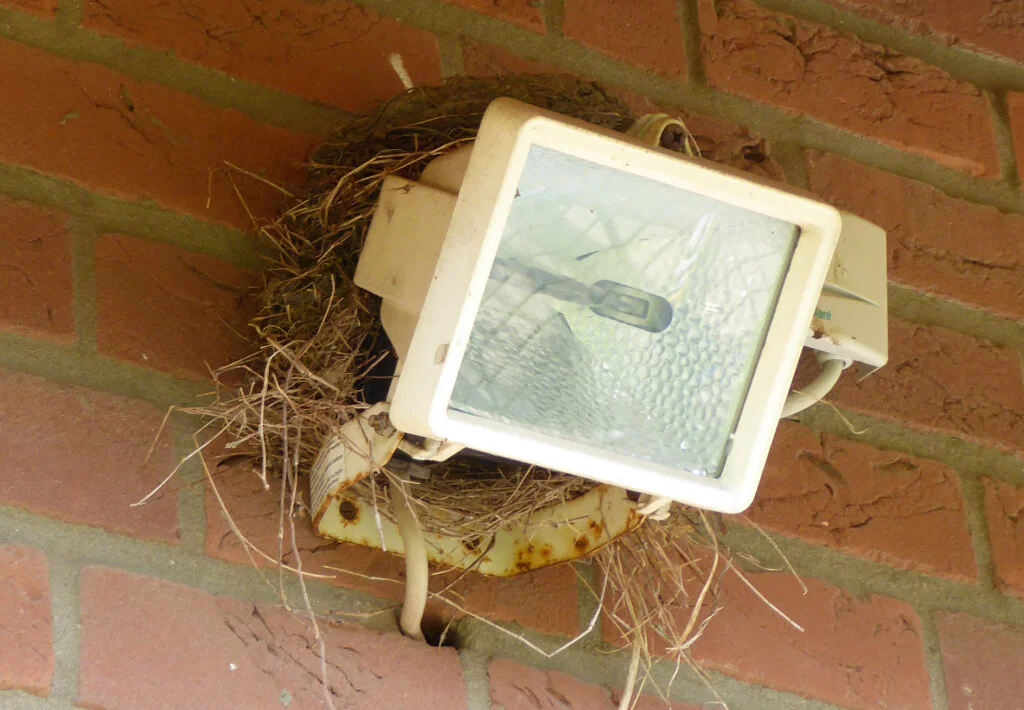 Schwalbennest_2 | © DAV Sektion Paderborn