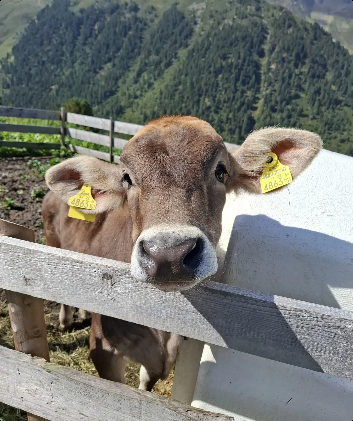 © DAV Sektion Paderborn