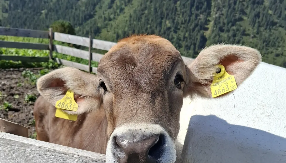 © DAV Sektion Paderborn