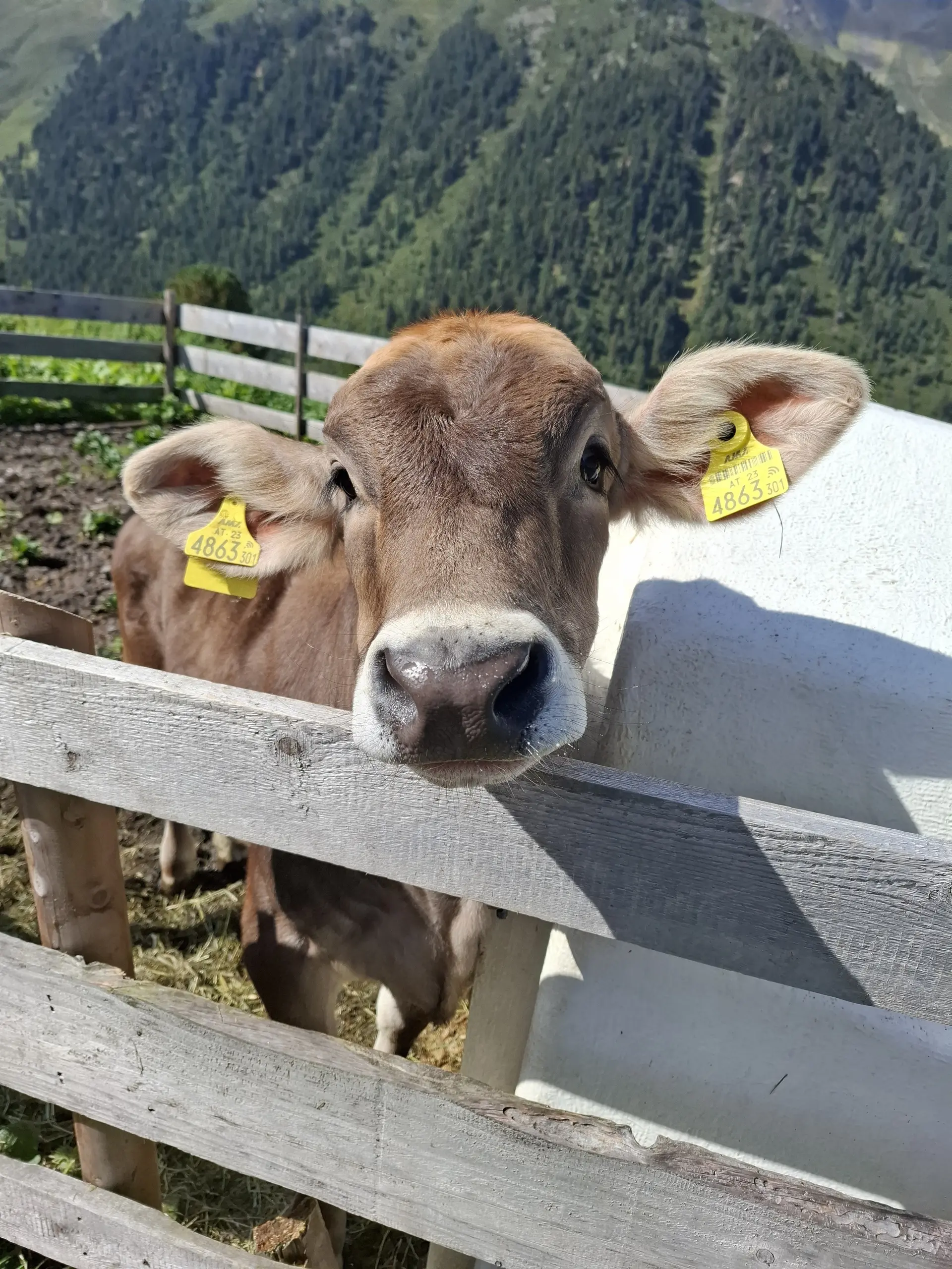 © DAV Sektion Paderborn