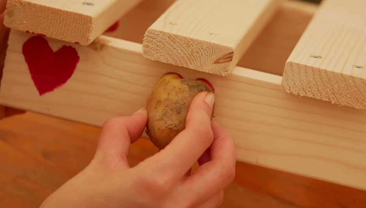 Schwedenstühle werden mit Kartoffelstempeln verziert. | © JDAV NRW