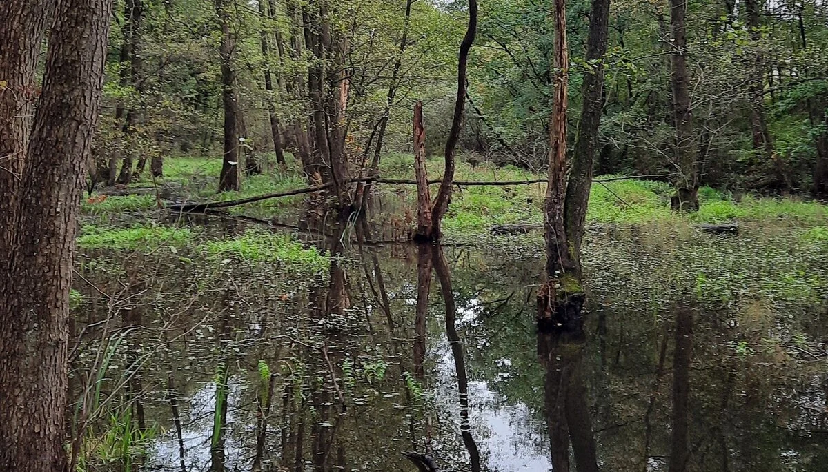 © DAV Sektion Paderborn