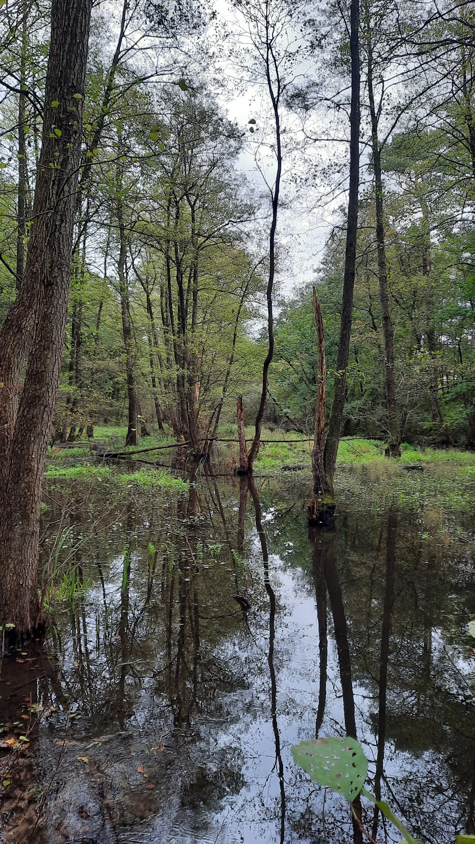 © DAV Sektion Paderborn