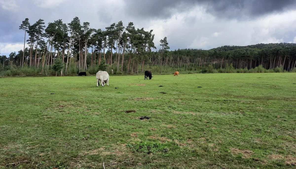 © DAV Sektion Paderborn