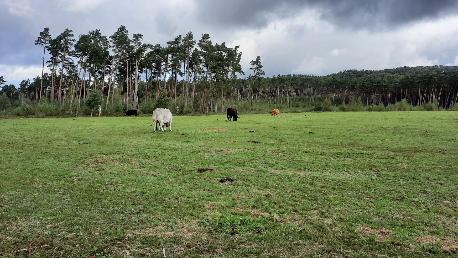 © DAV Sektion Paderborn