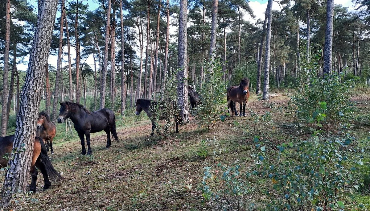 © DAV Sektion Paderborn