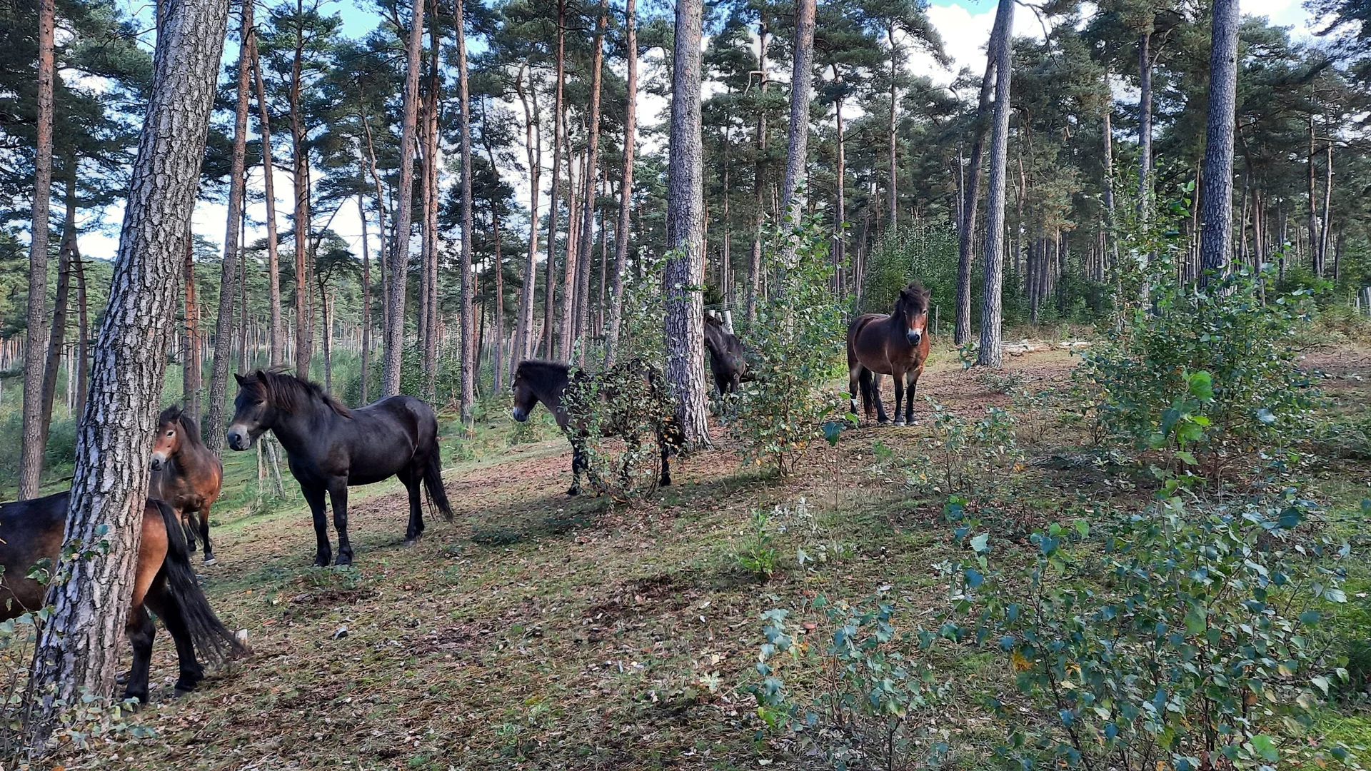 © DAV Sektion Paderborn