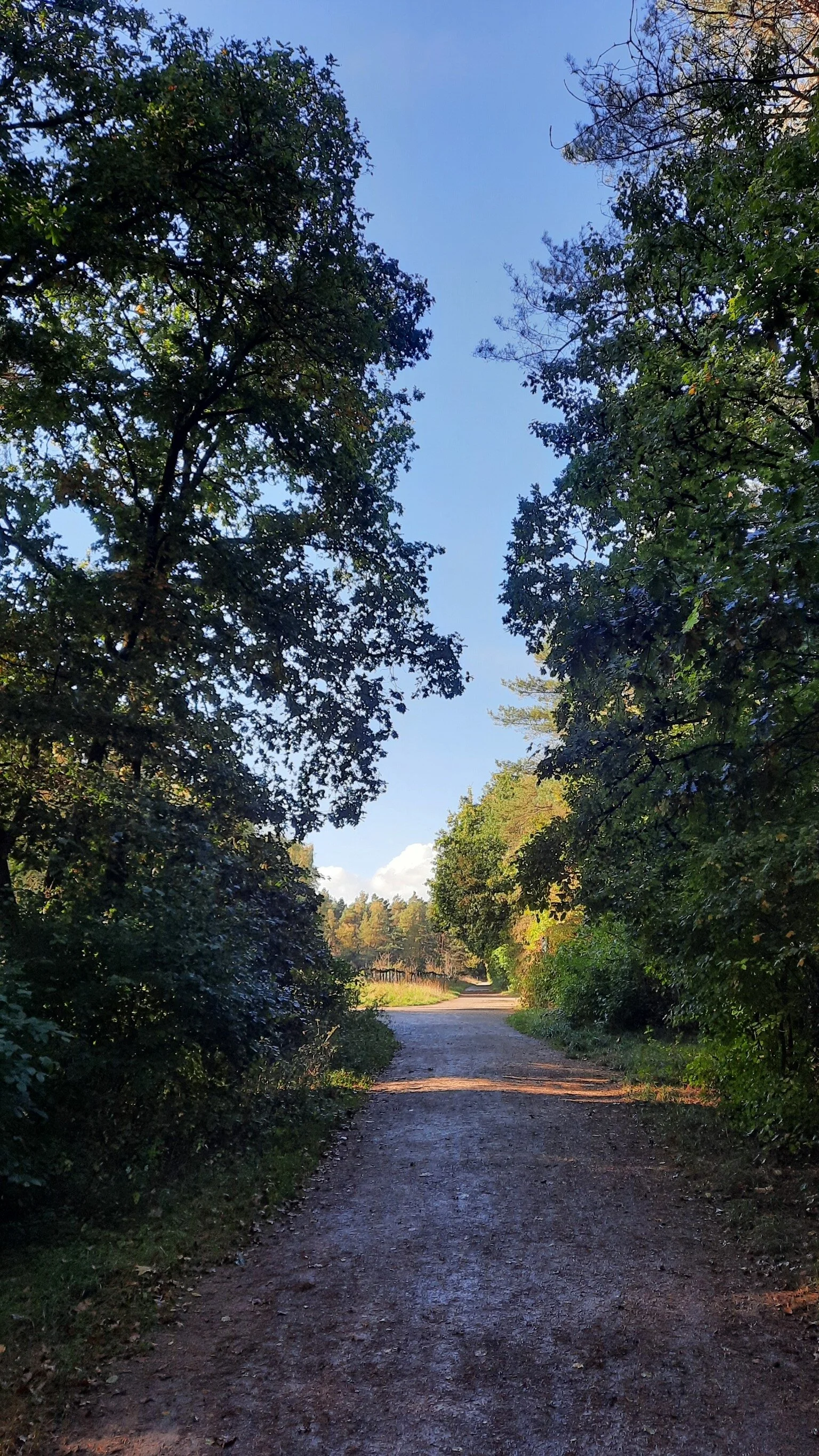 © DAV Sektion Paderborn