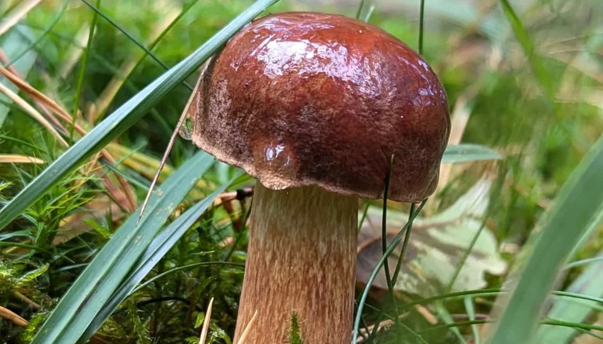 © DAV Sektion Paderborn