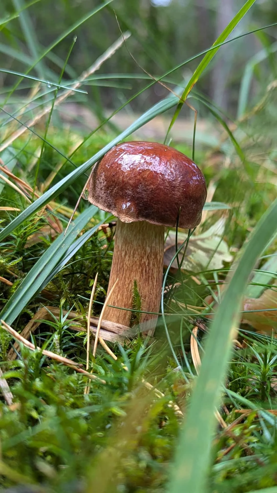 © DAV Sektion Paderborn