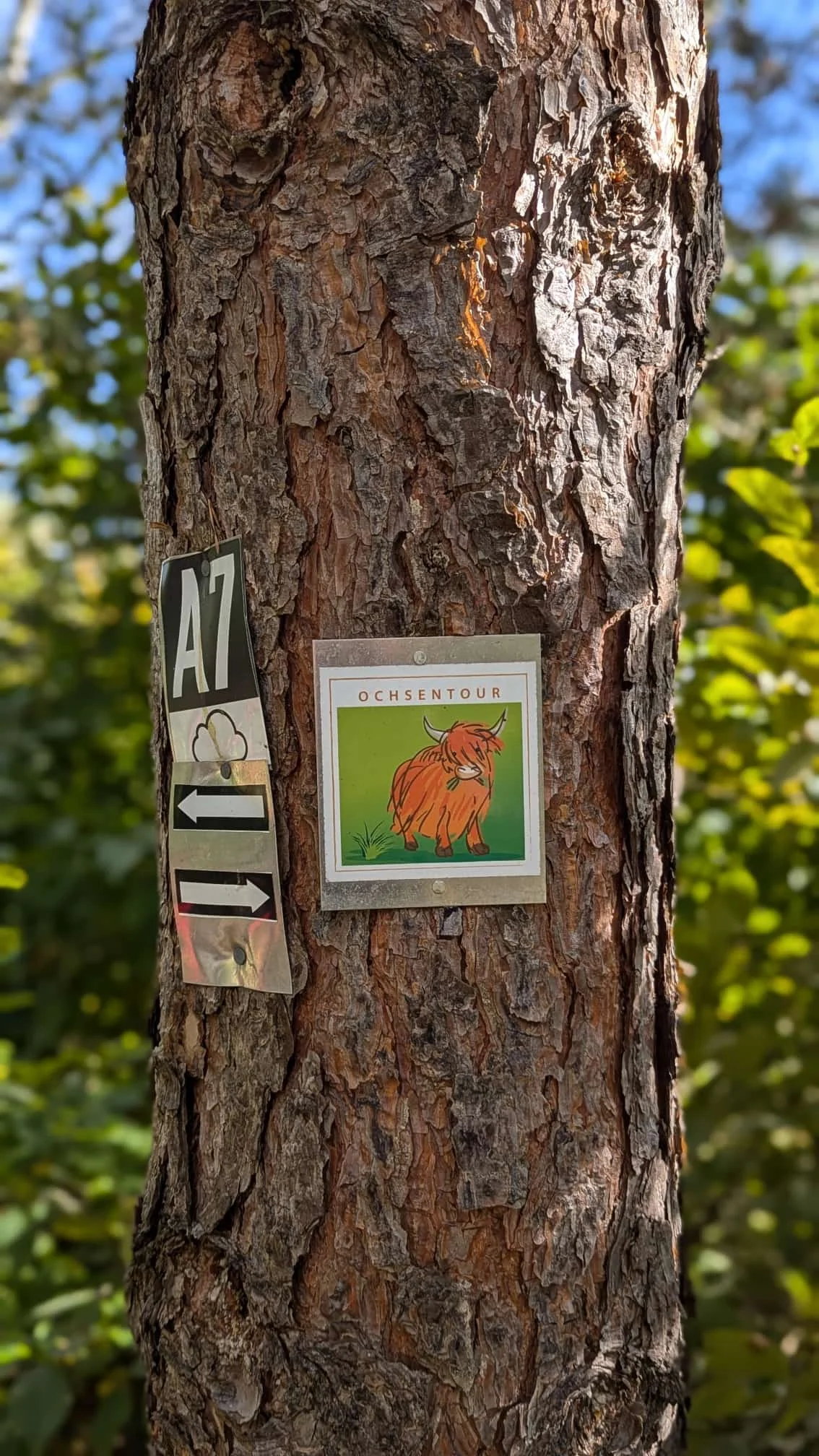 © DAV Sektion Paderborn