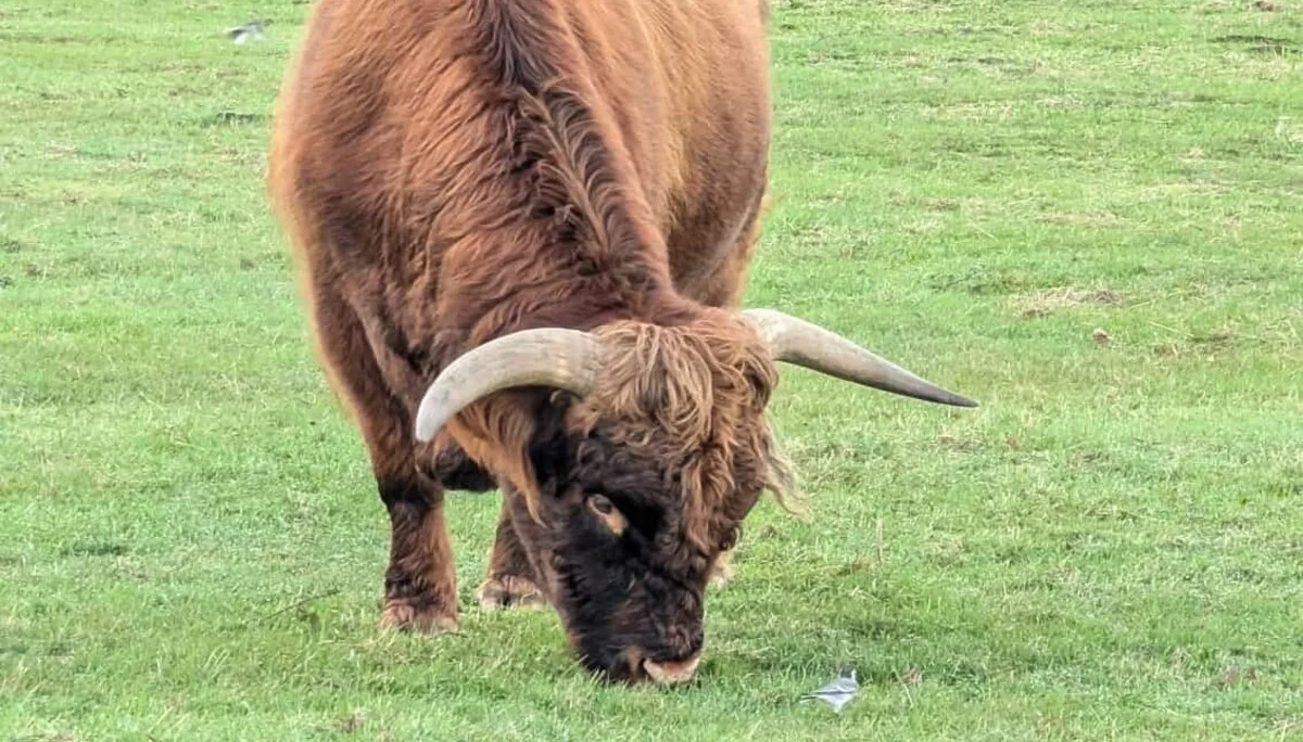 © DAV Sektion Paderborn