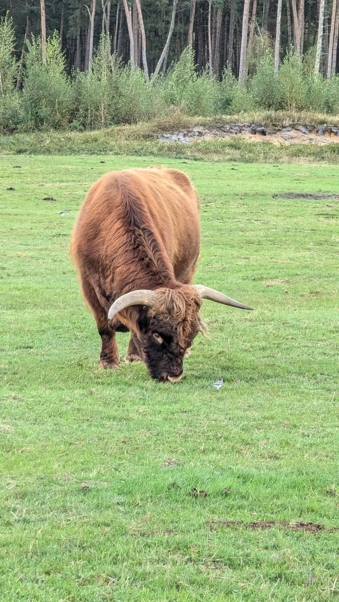 © DAV Sektion Paderborn