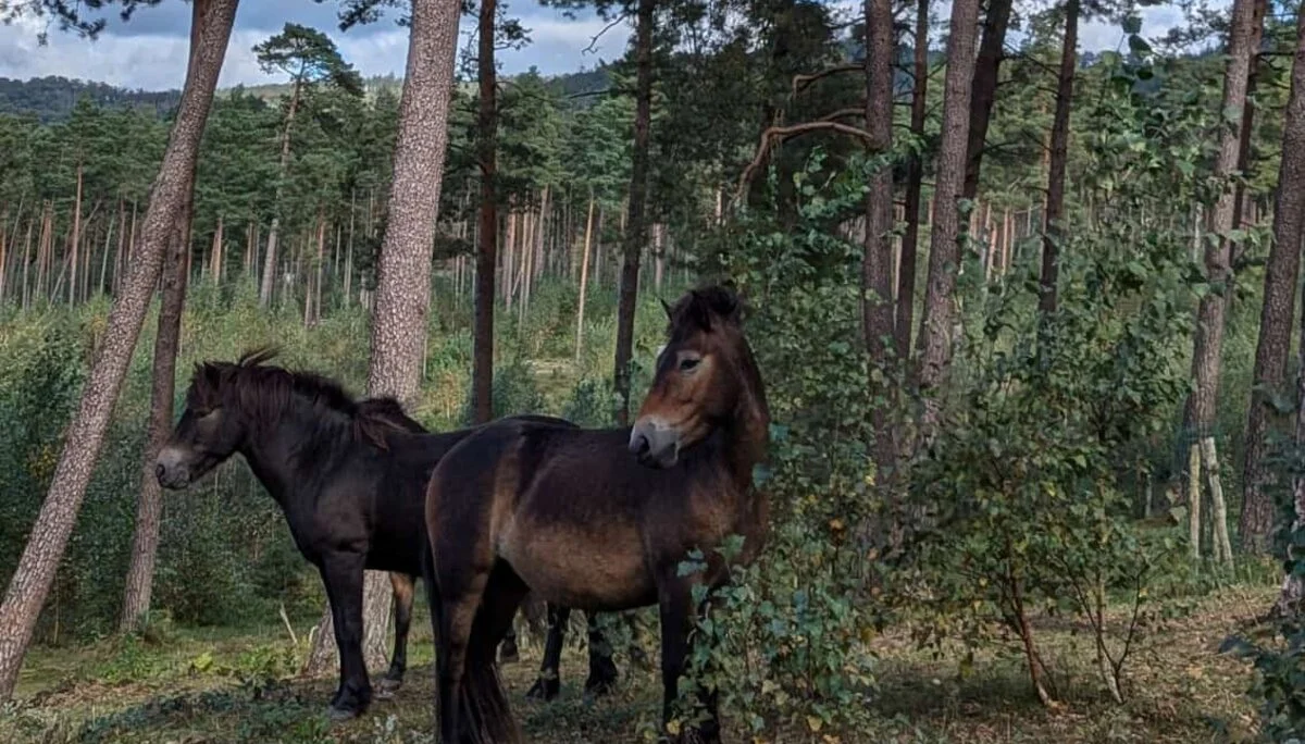 © DAV Sektion Paderborn