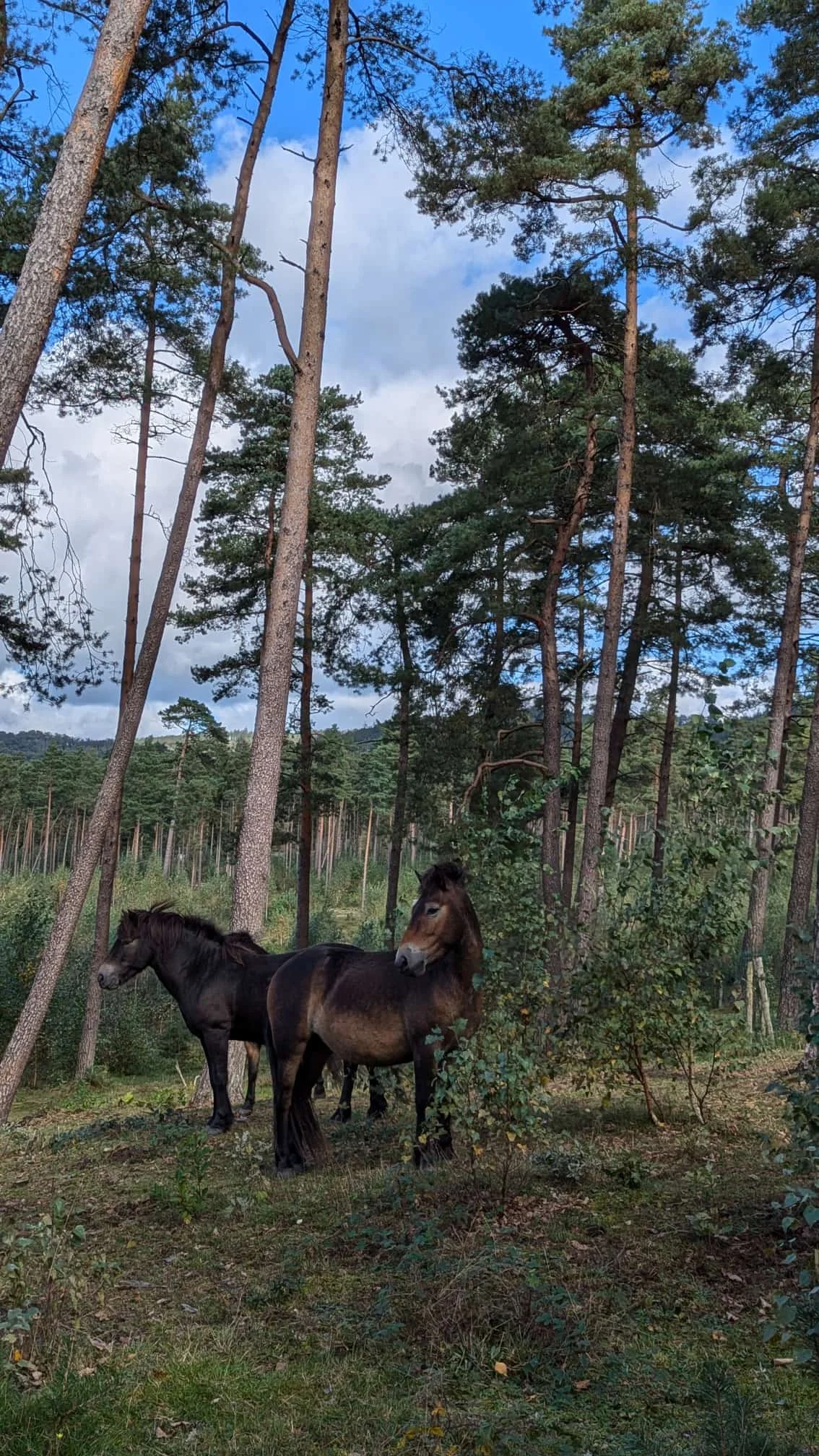 © DAV Sektion Paderborn