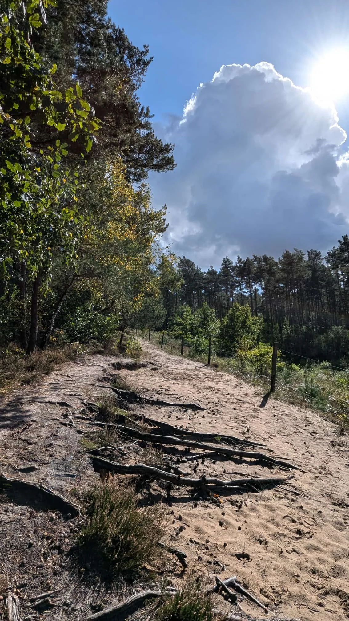 © DAV Sektion Paderborn