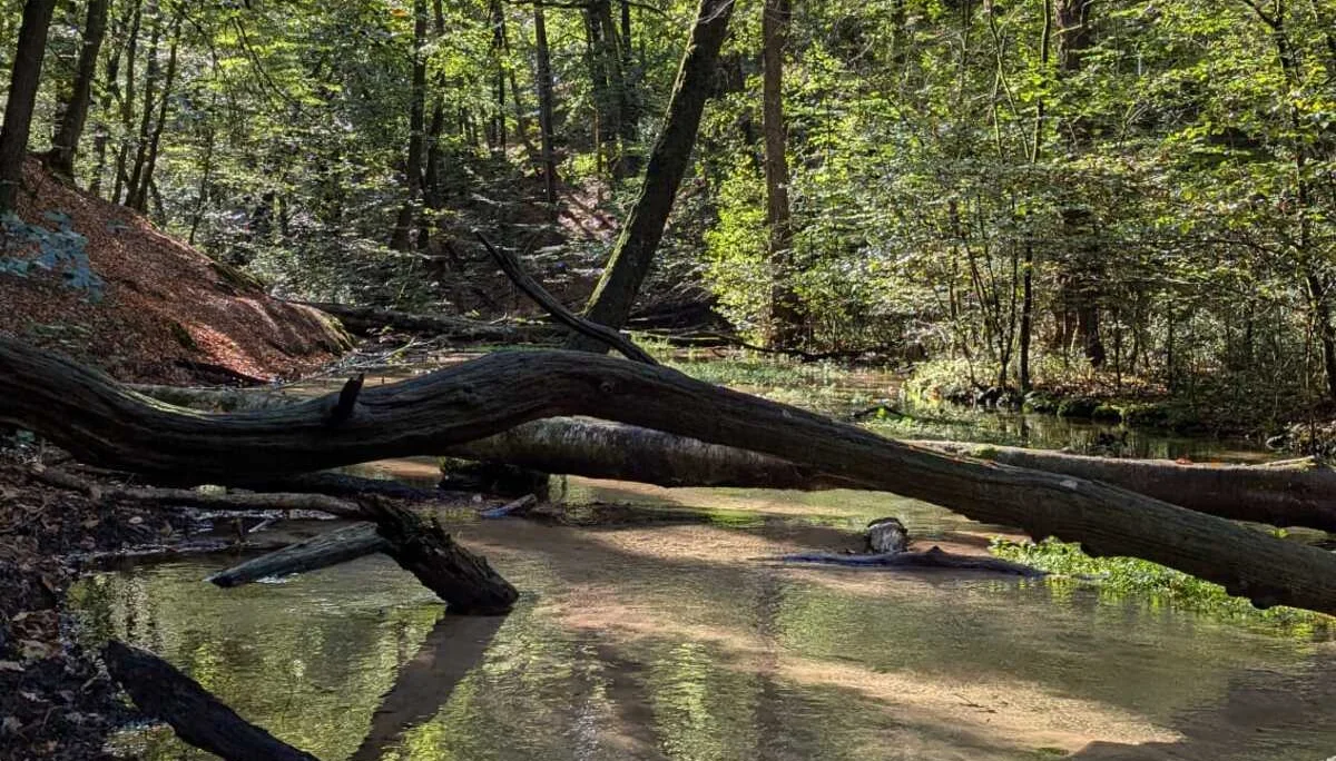 © DAV Sektion Paderborn