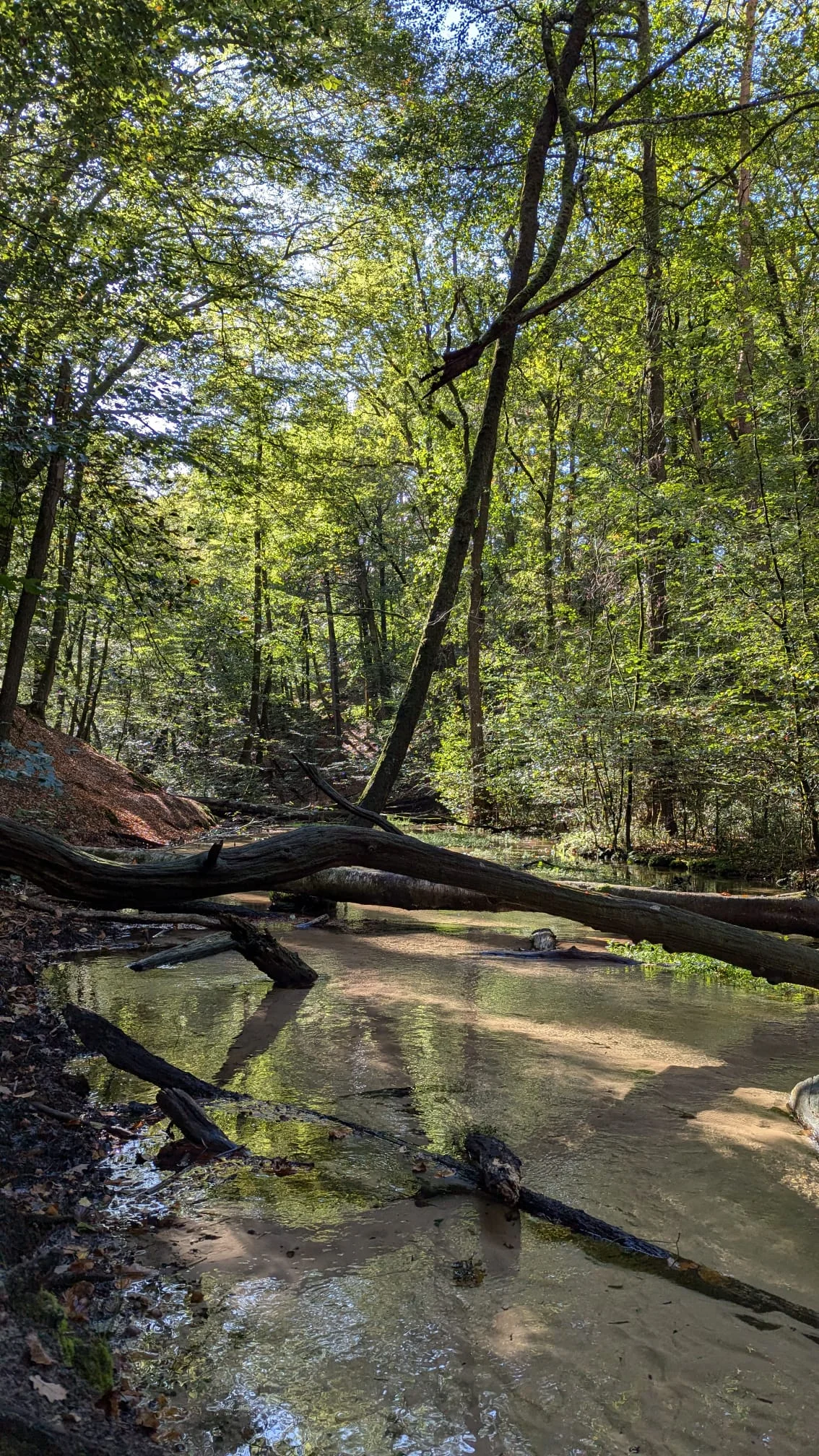 © DAV Sektion Paderborn