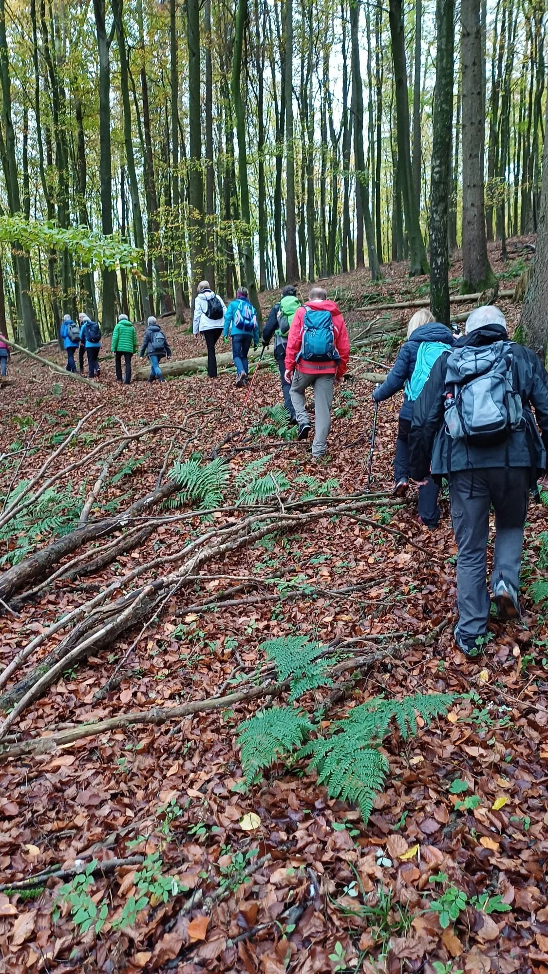 © DAV Sektion Paderborn