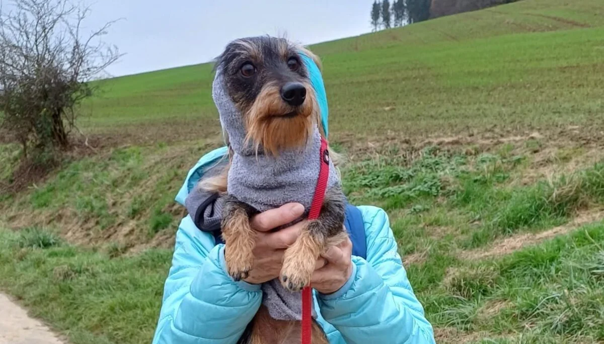 © DAV Sektion Paderborn