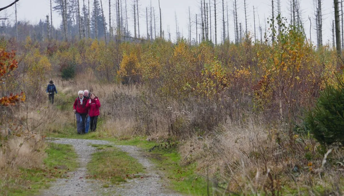 © DAV Sektion Paderborn