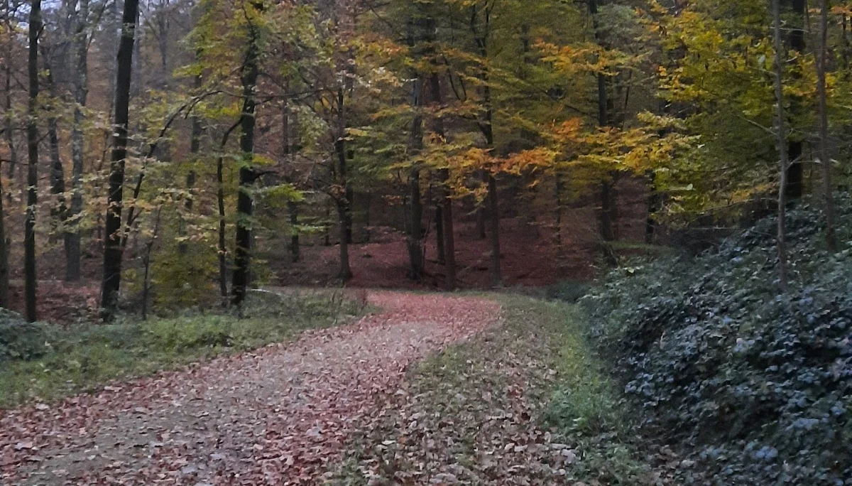 © DAV Sektion Paderborn