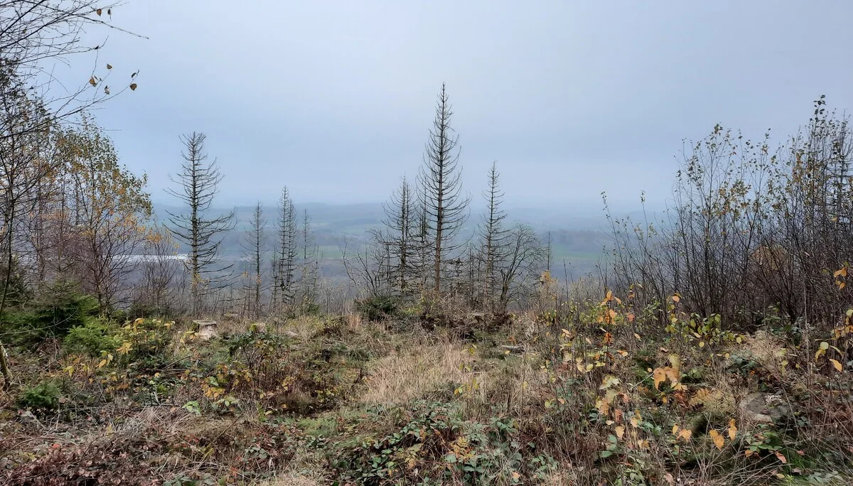 © DAV Sektion Paderborn