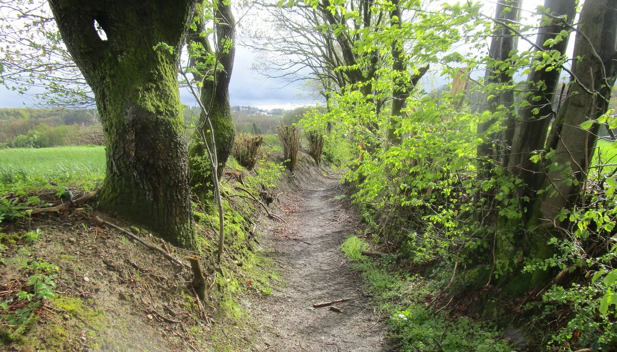 © DAV Sektion Paderborn