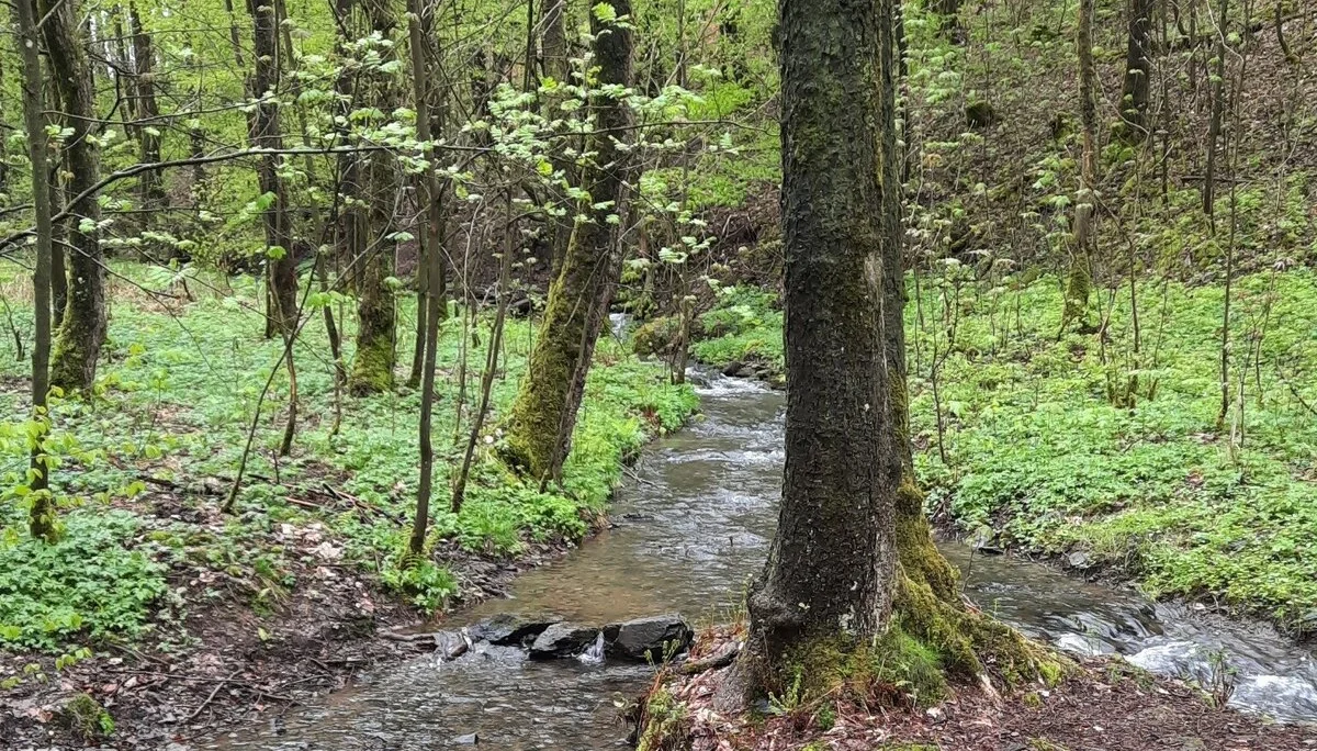 © DAV Sektion Paderborn