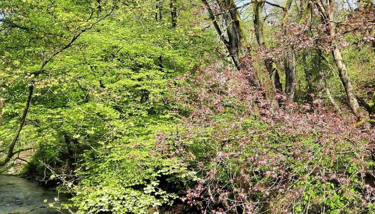 © DAV Sektion Paderborn