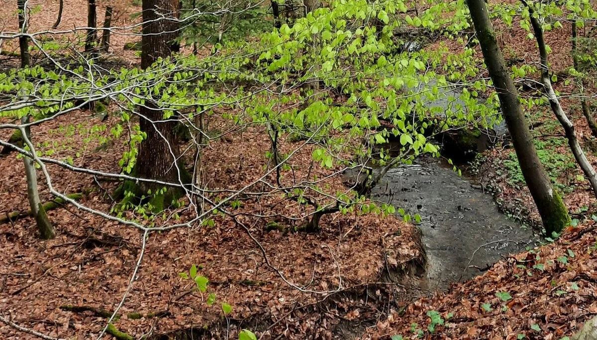 © DAV Sektion Paderborn