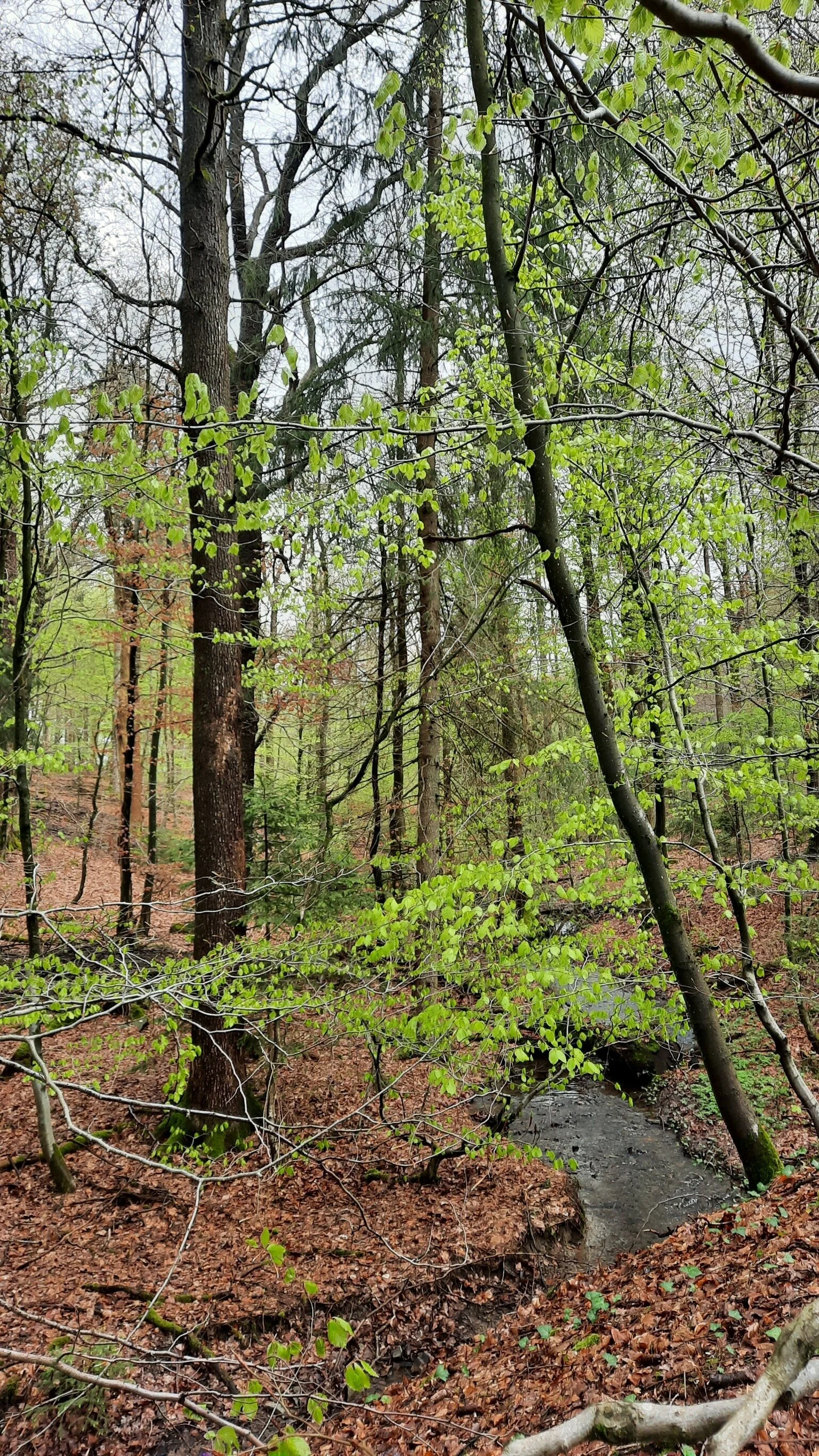 © DAV Sektion Paderborn