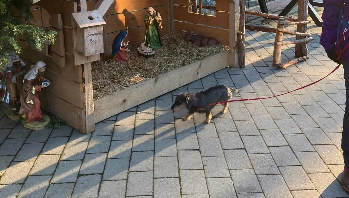 © DAV Sektion Paderborn