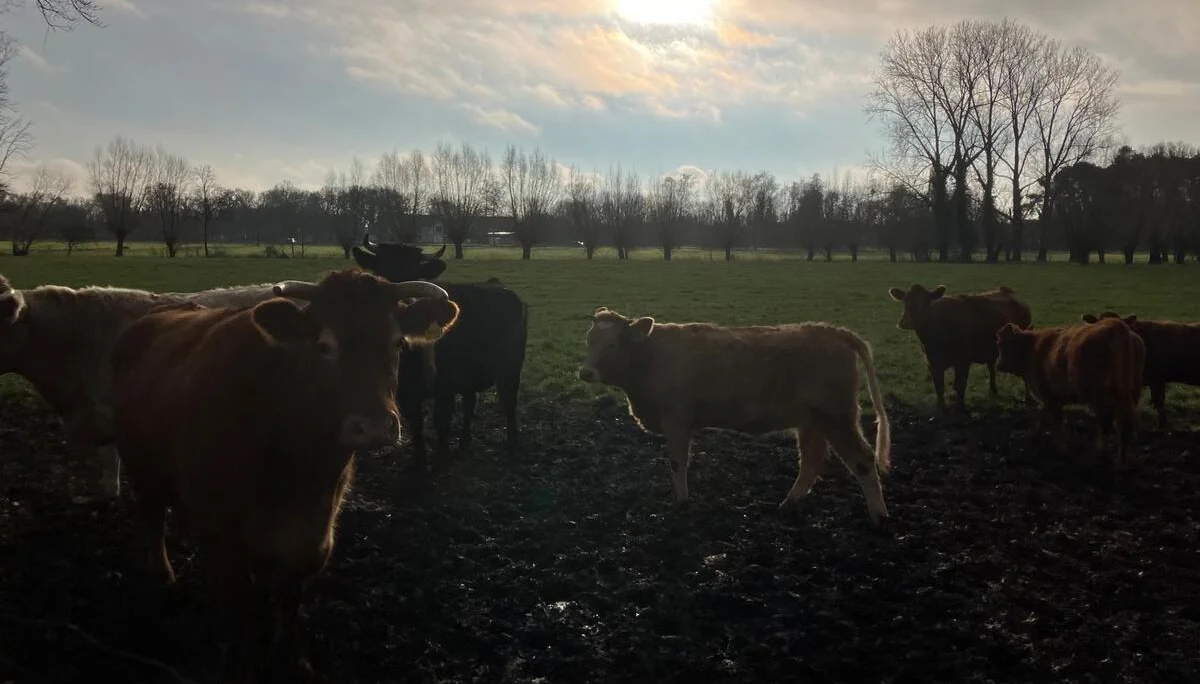 © DAV Sektion Paderborn