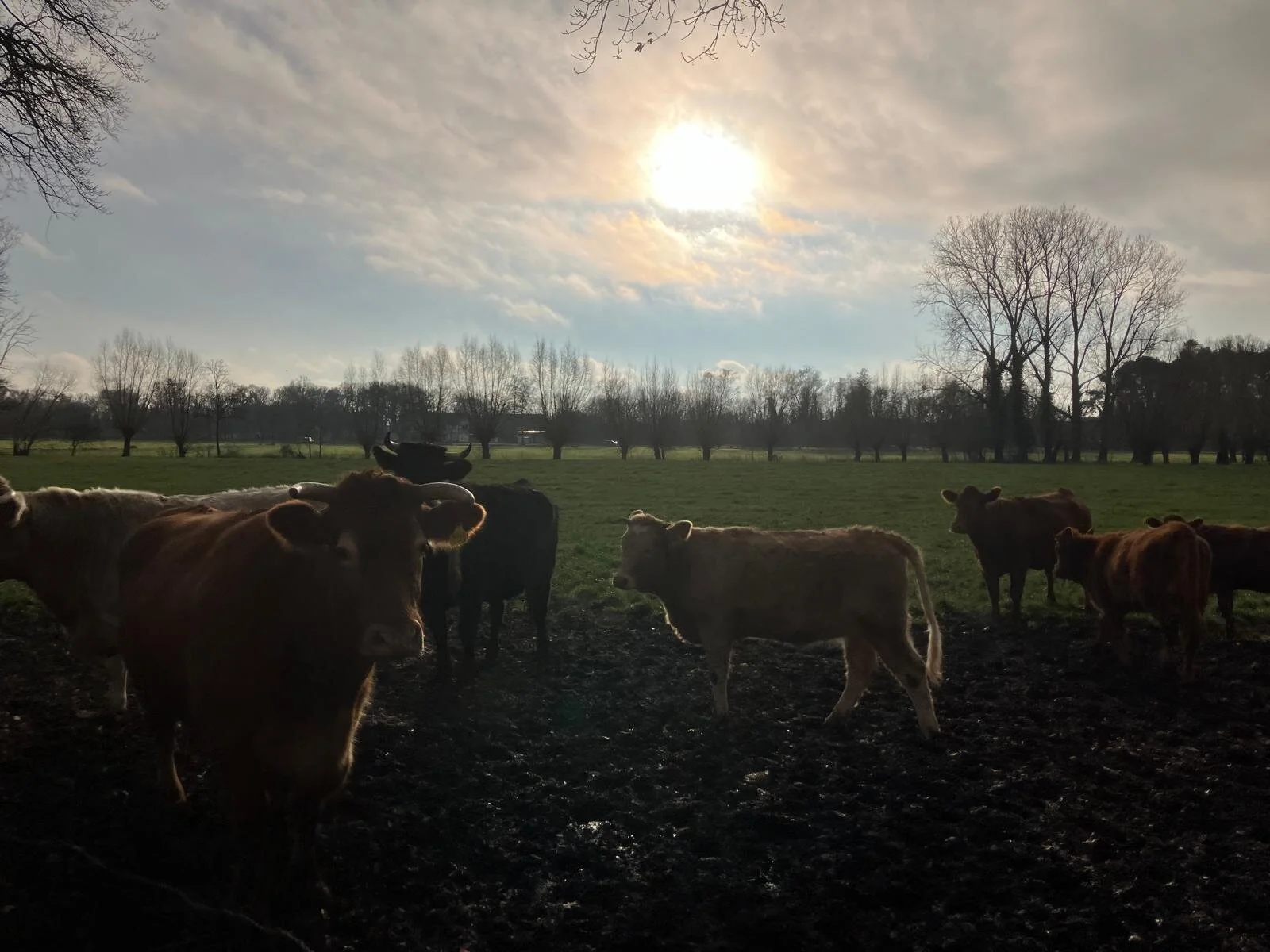 © DAV Sektion Paderborn