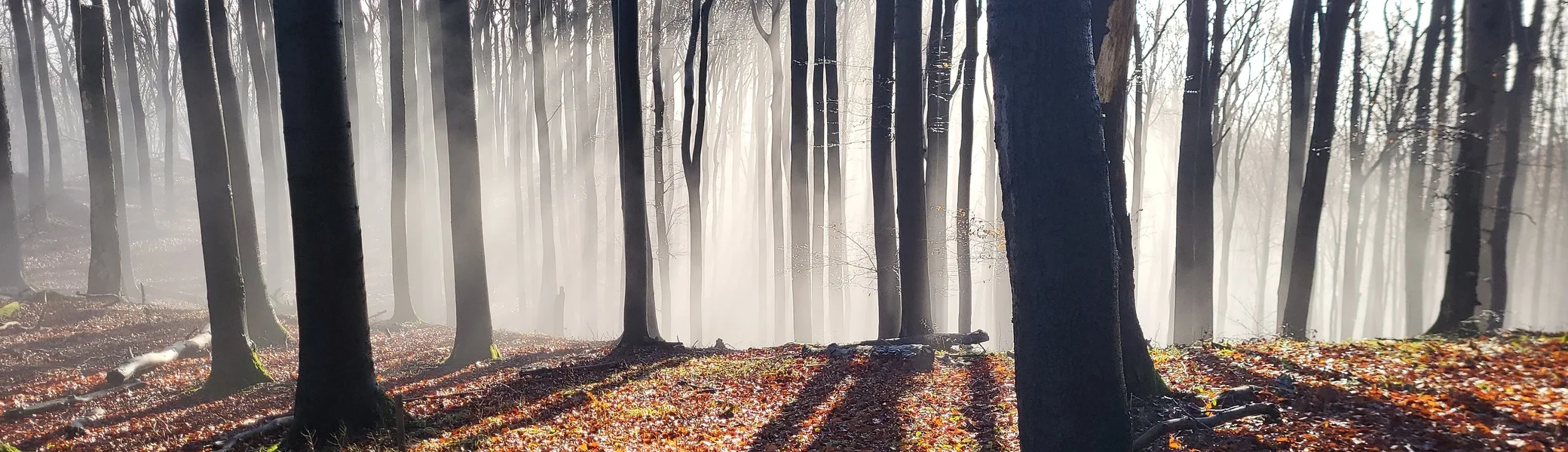 © DAV Sektion Paderborn