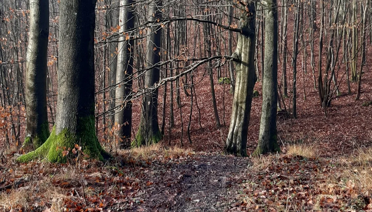 © DAV Sektion Paderborn