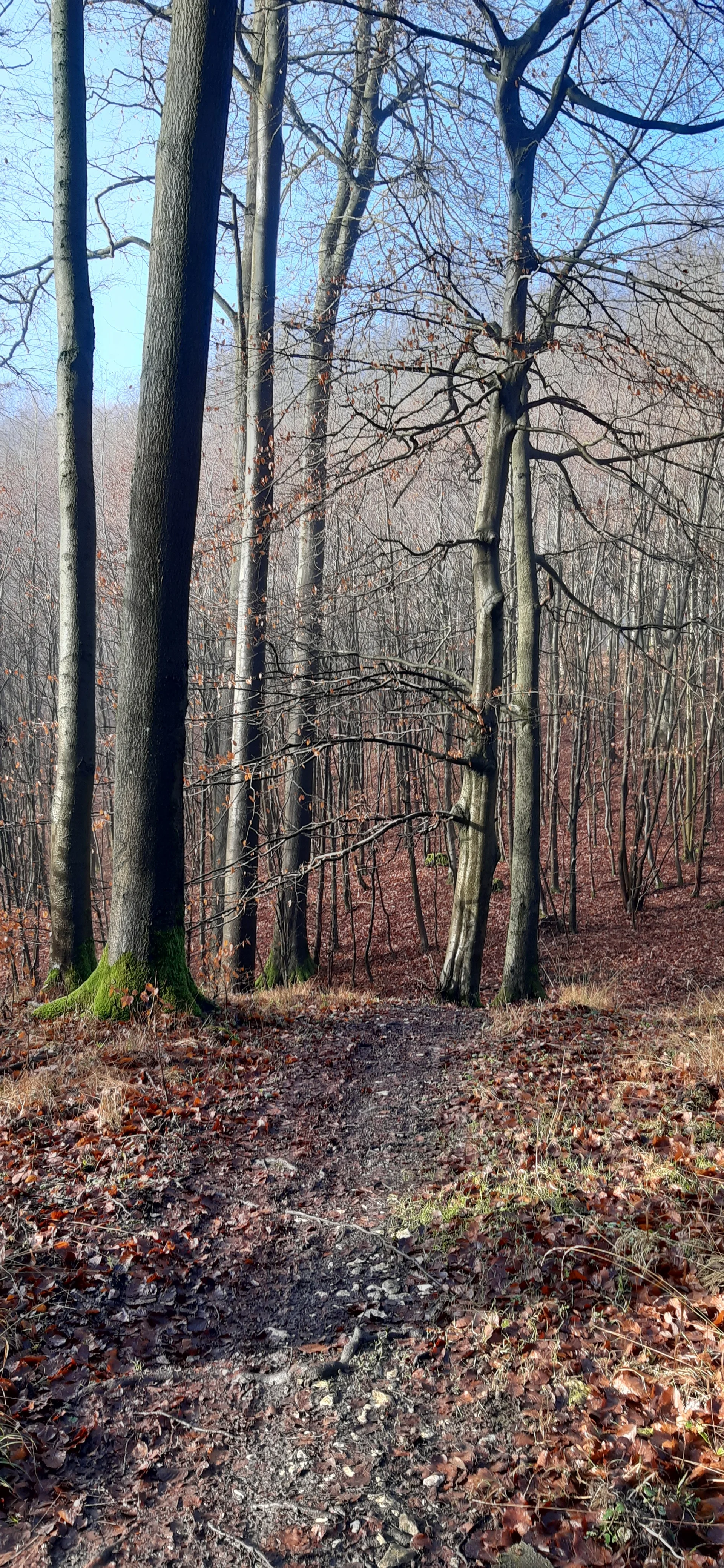 © DAV Sektion Paderborn