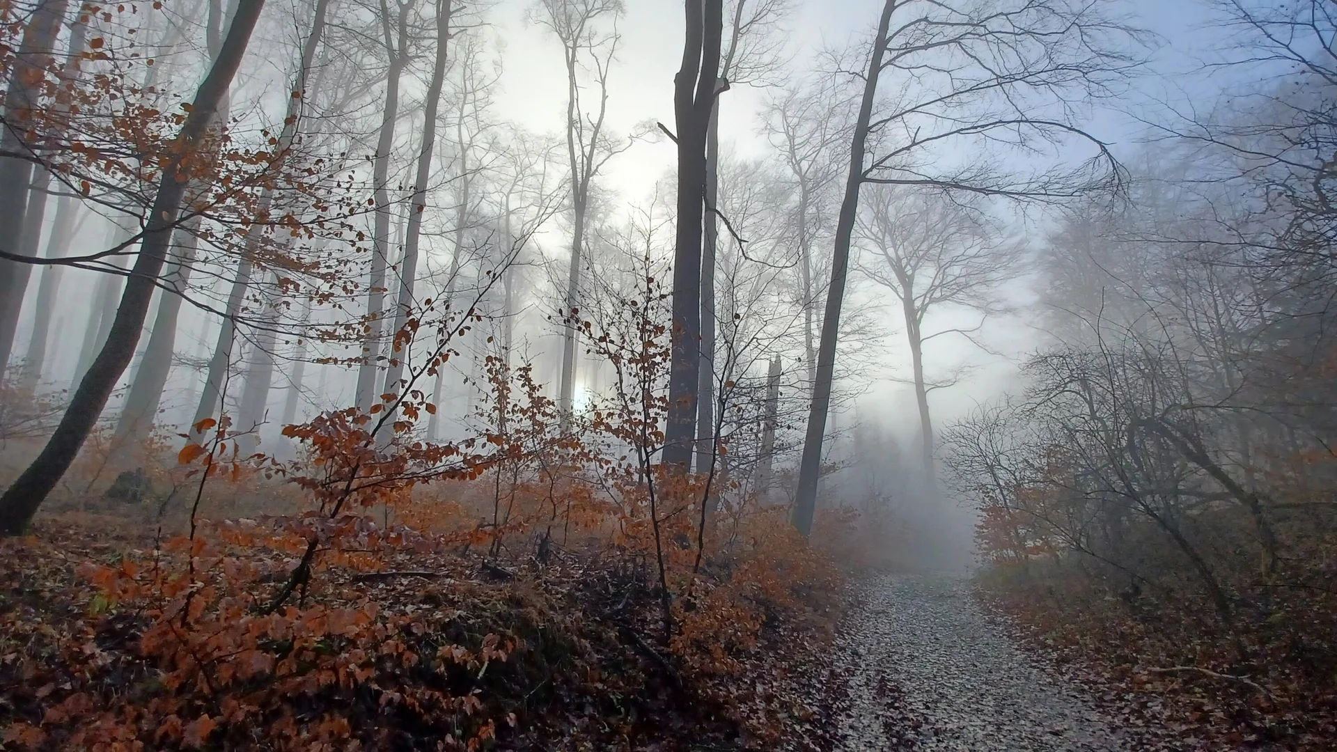 © DAV Sektion Paderborn