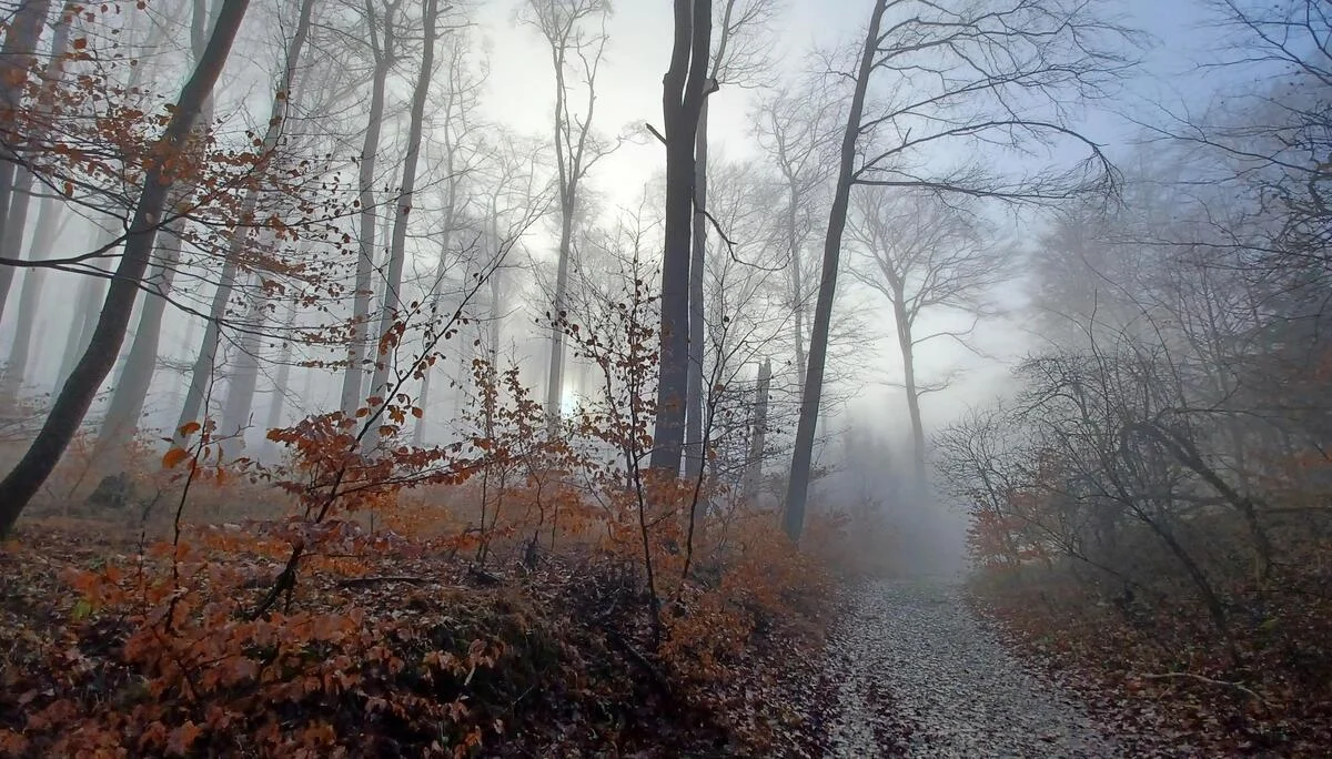 © DAV Sektion Paderborn