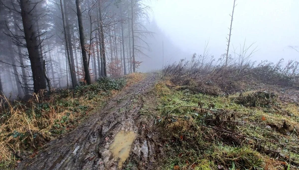 © DAV Sektion Paderborn